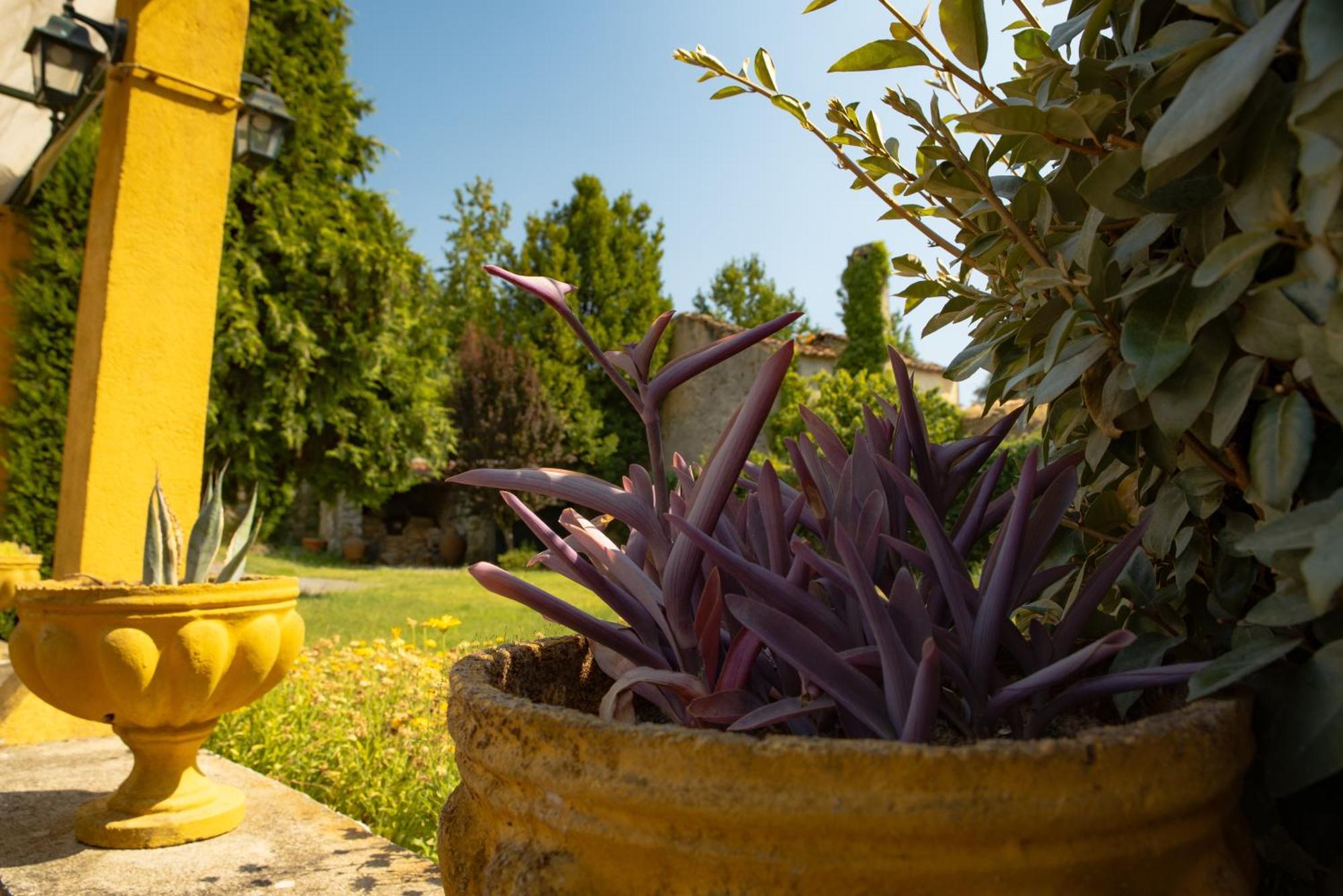 Vila A Sobreirinha Jacuzzi E Pet Friendly Sobreira Formosa Exteriér fotografie