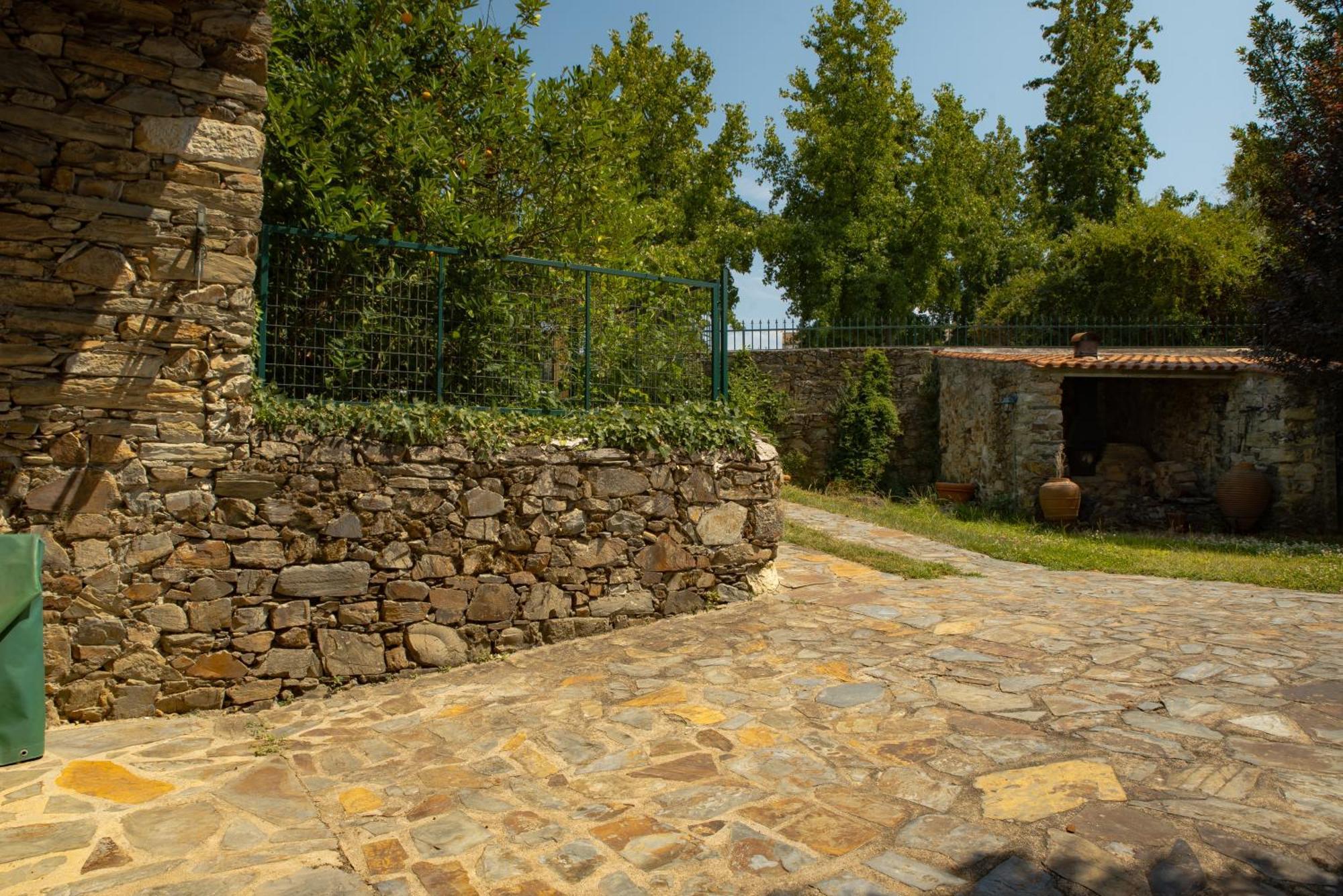 Vila A Sobreirinha Jacuzzi E Pet Friendly Sobreira Formosa Exteriér fotografie